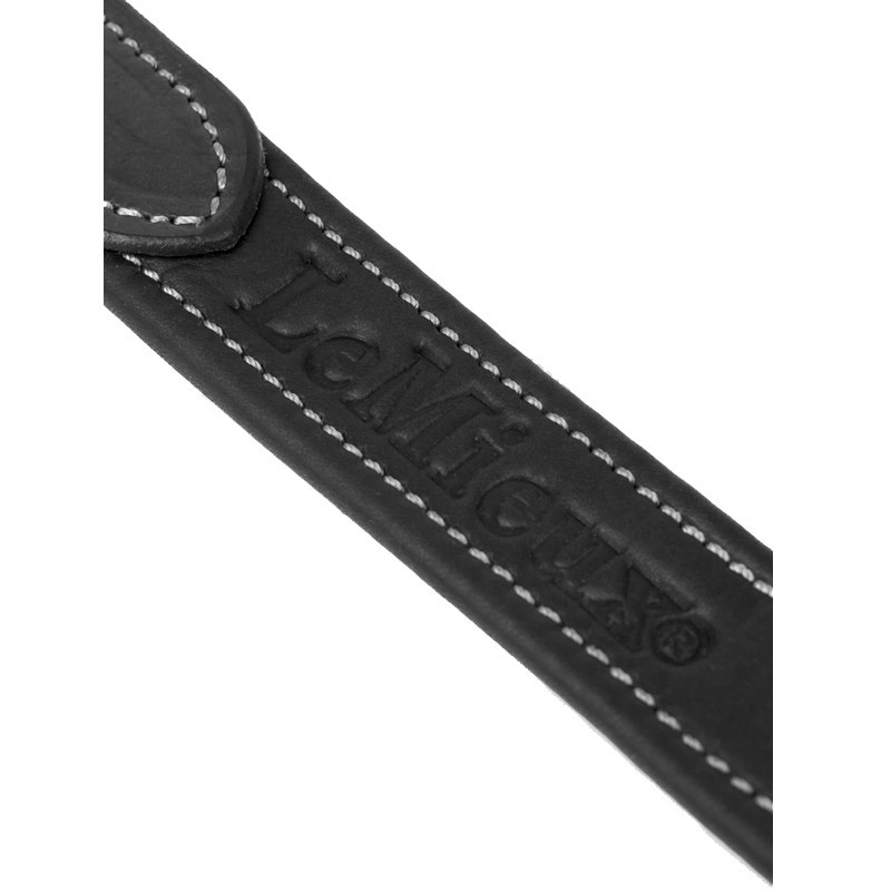 Etrivières Vector LeMieux