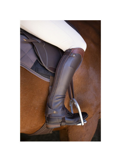 Mini-chaps Elite marron Equi-Thème