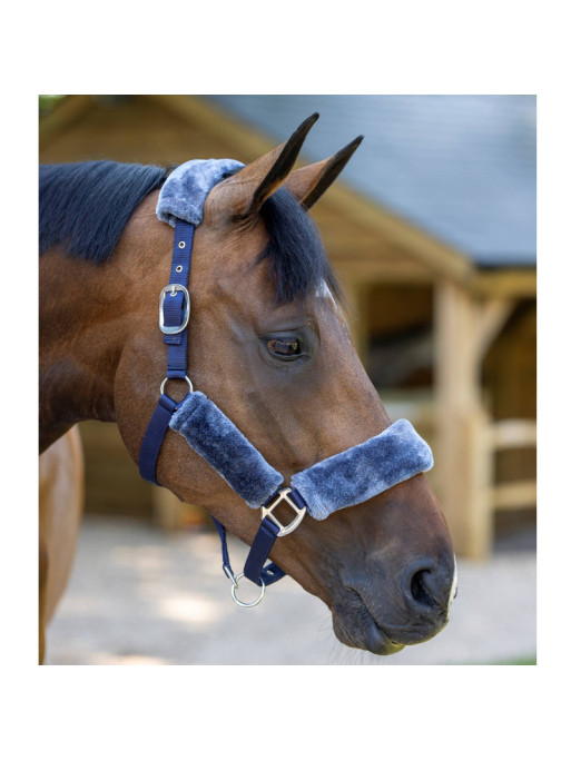 Licol Comfort Headcollar LeMieux