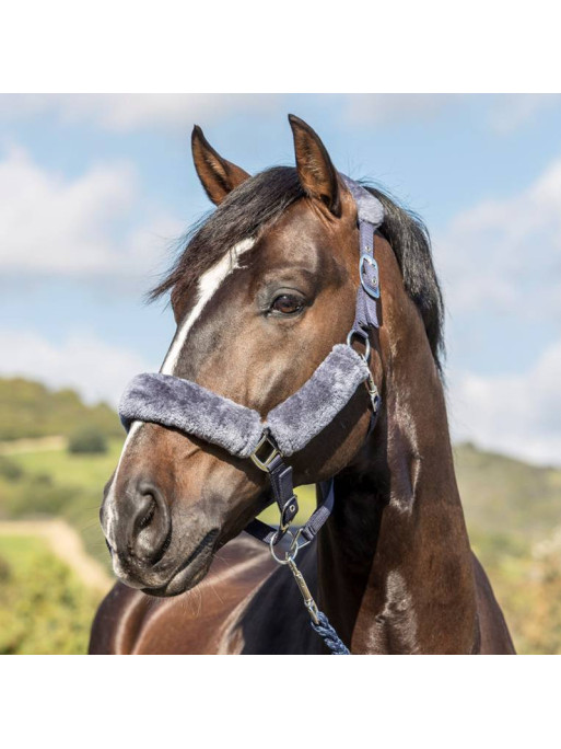 Licol Comfort Headcollar LeMieux