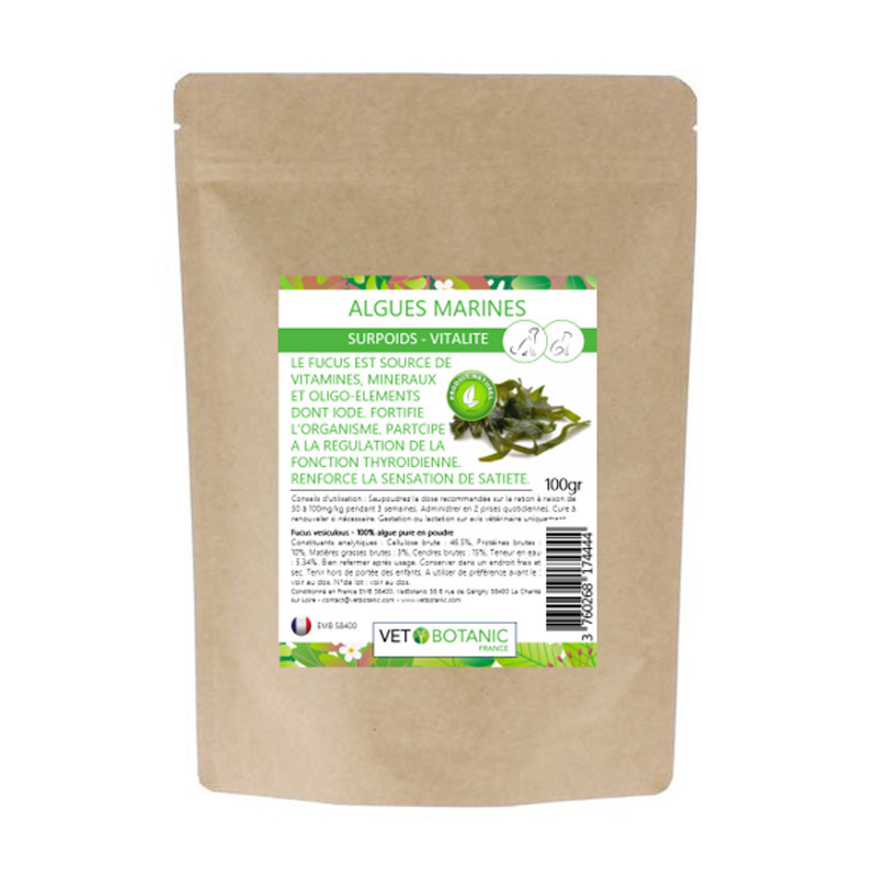 ARGILE MARINE ENRICHIE EN MINERAUX Prête à L'emploi Pour Chiens Et