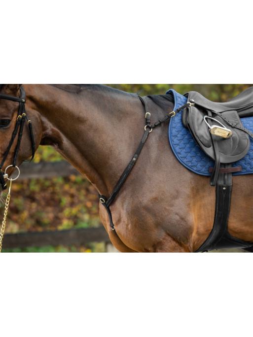 Collier de chasse à pont Collier de chasse à pont
