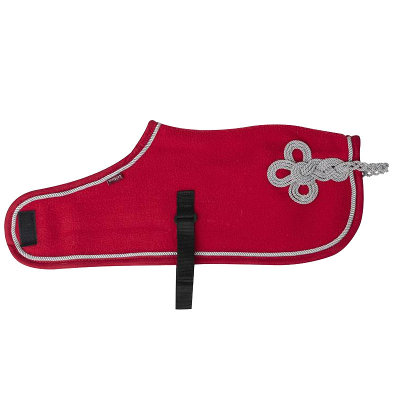Couverture Toy Pony Lemieux