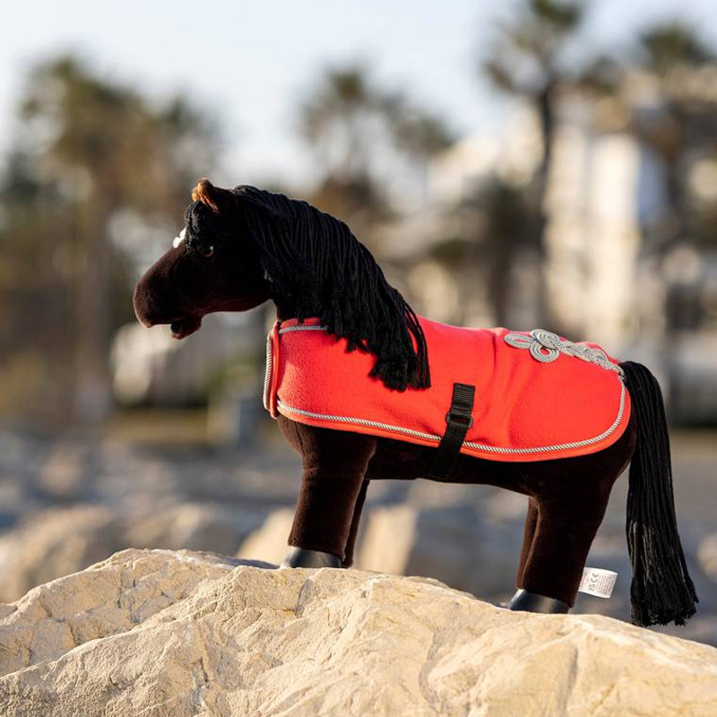 Couverture Toy Pony Lemieux