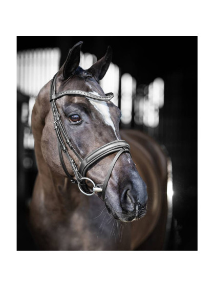 Bridon dressage Arika LeMieux