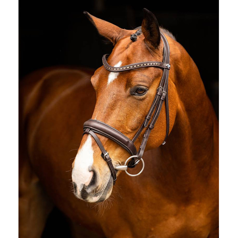 Bridon dressage Arika LeMieux