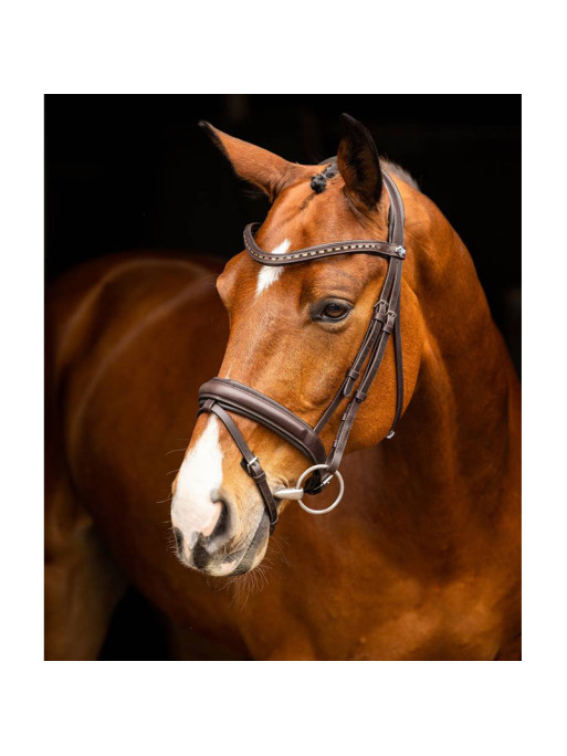 Bridon dressage Arika LeMieux