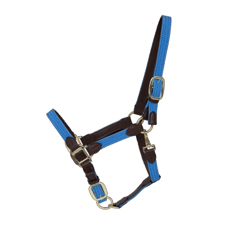 Licol nylon tressé Kentucky