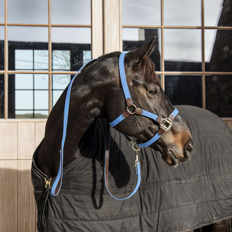 Longe en nylon tressé pour cheval 2m Kentucky