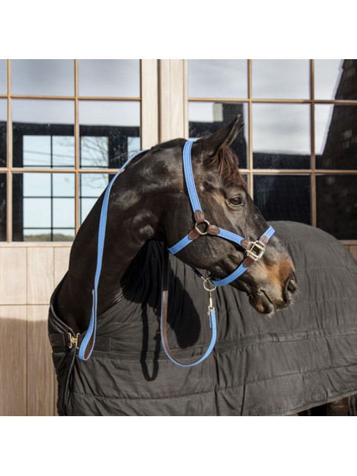 Longe en nylon tressé pour cheval 2m Kentucky