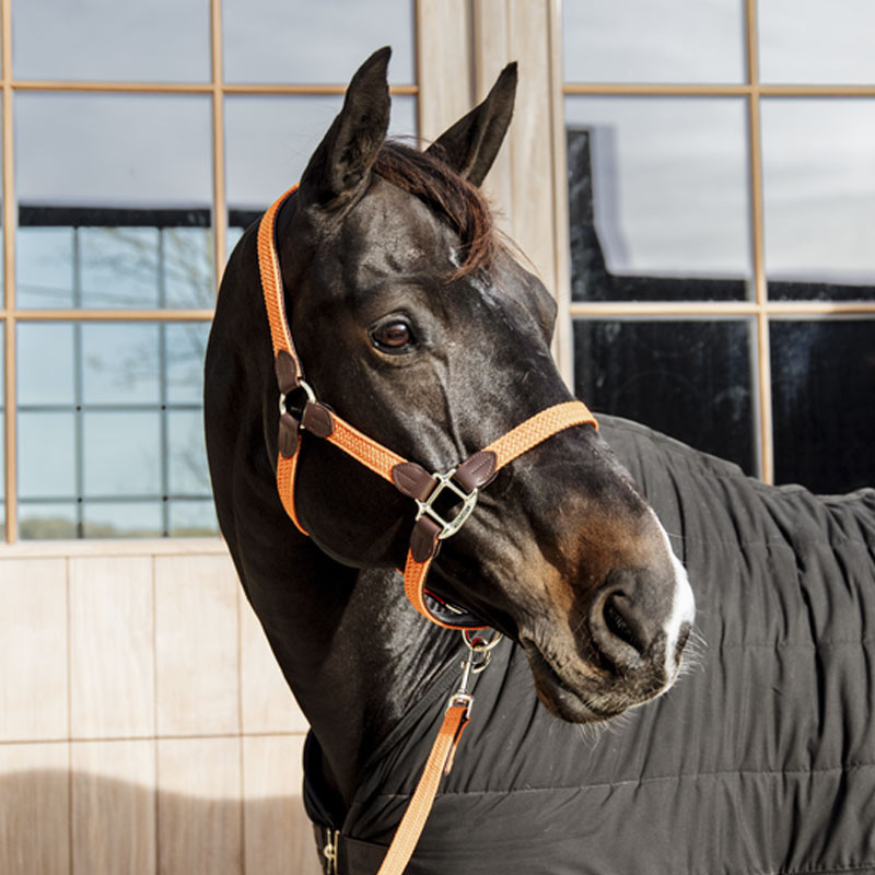Longe en nylon tressé pour cheval 2m Kentucky