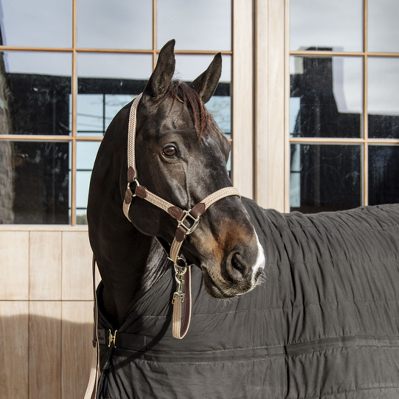 Longe en nylon tressé pour cheval 2m Kentucky
