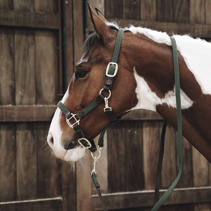Longe en nylon tressé pour cheval 2m Kentucky