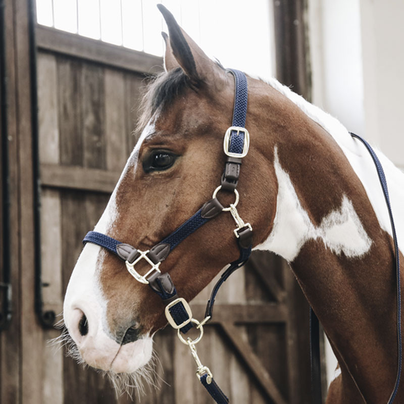 Longe en nylon tressé pour cheval 2m Kentucky