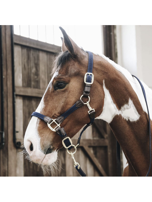 Longe en nylon tressé pour cheval 2m Kentucky