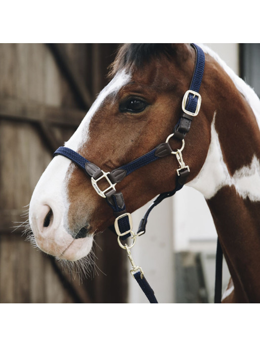 Longe en nylon tressé pour cheval 2m Kentucky
