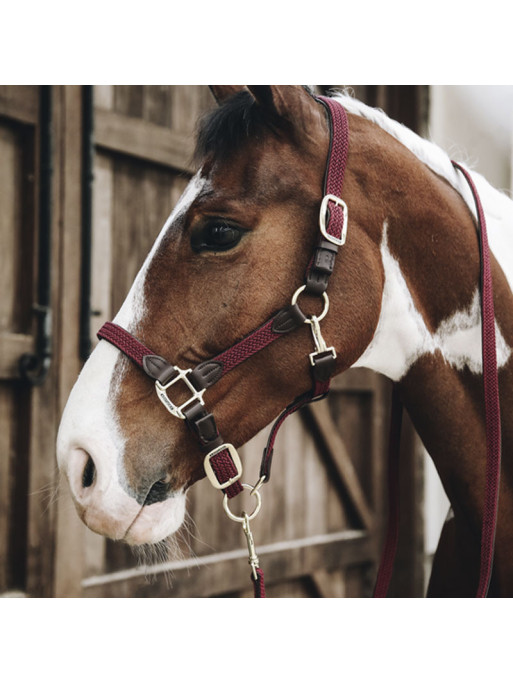 Longe en nylon tressé pour cheval 2m Kentucky