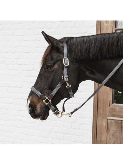 Longe en nylon tressé pour cheval 2m Kentucky