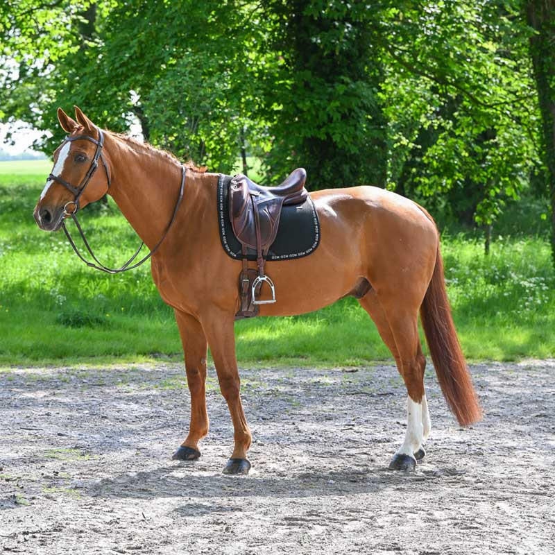 Tapis de selle New Mesh dressage GEM
