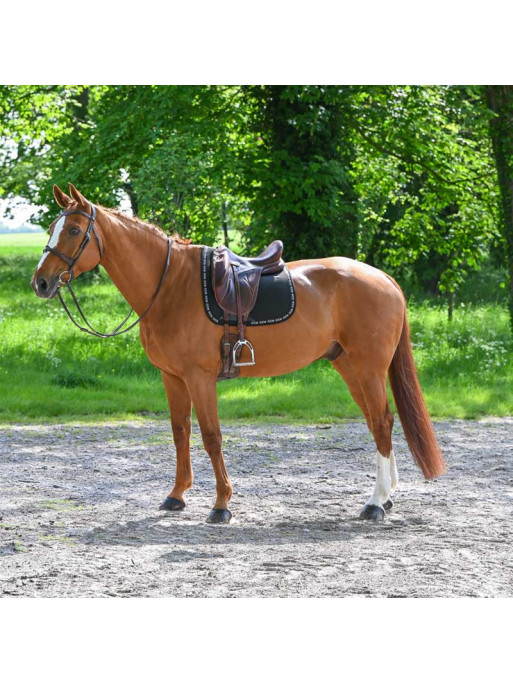 Tapis de selle New Mesh dressage GEM