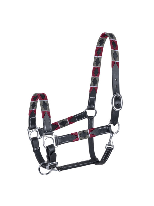 Licol en cuir Polo Waldhausen