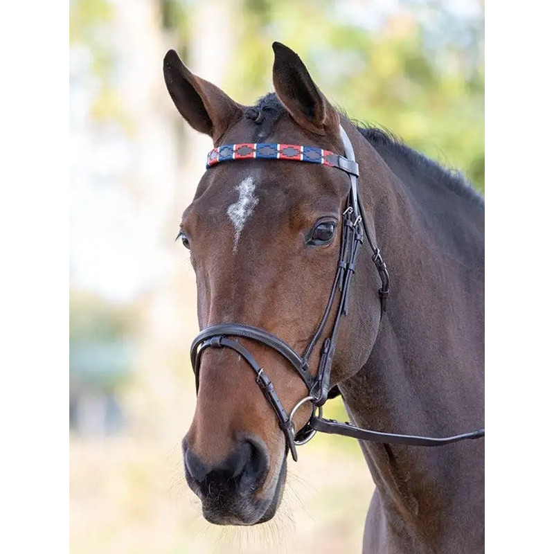 Frontal en cuir Polo