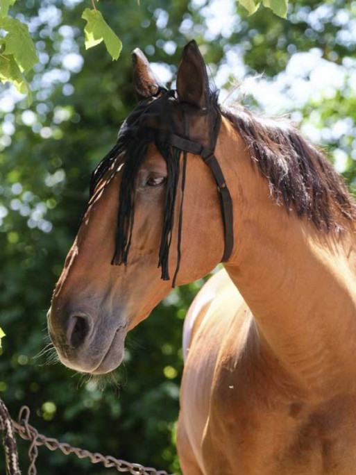 Bonnet anti-mouches Mesh Equi-Thème