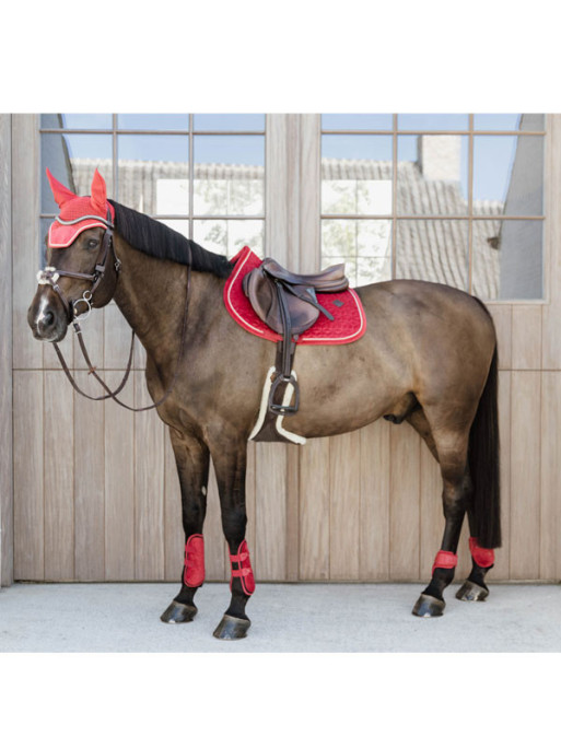 Guêtres bamboo elastic velvet Kentucky