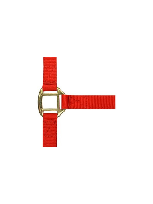 Licol nylon doublé cuir