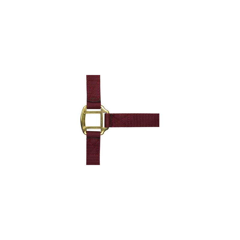 Licol nylon doublé cuir