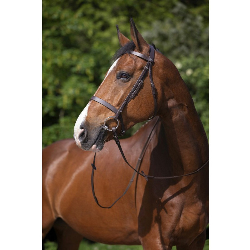 Bridon Muserolle française Riding World