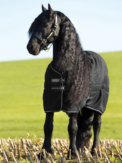 Couverture d'écurie Rambo Stable Rug 200g Horseware