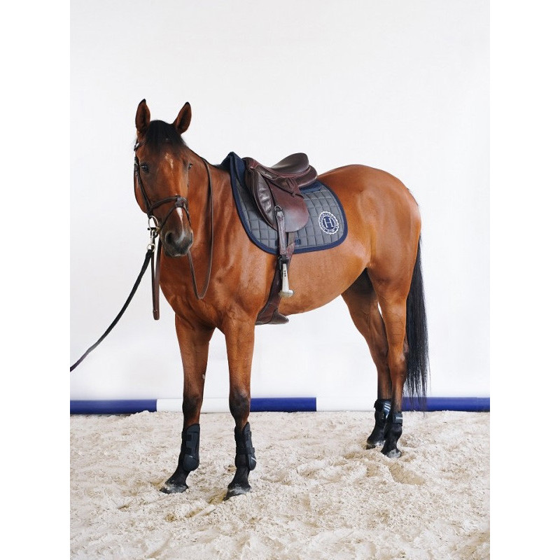 Tapis Safine Dressage hiver 2023 Harcour