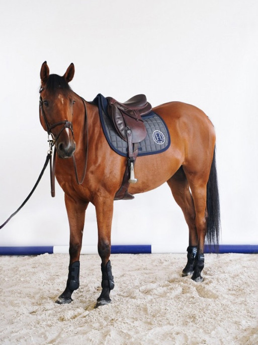Tapis Safine Dressage hiver 2023 Harcour Tapis Safine Dressage hiver 2023 Harcour