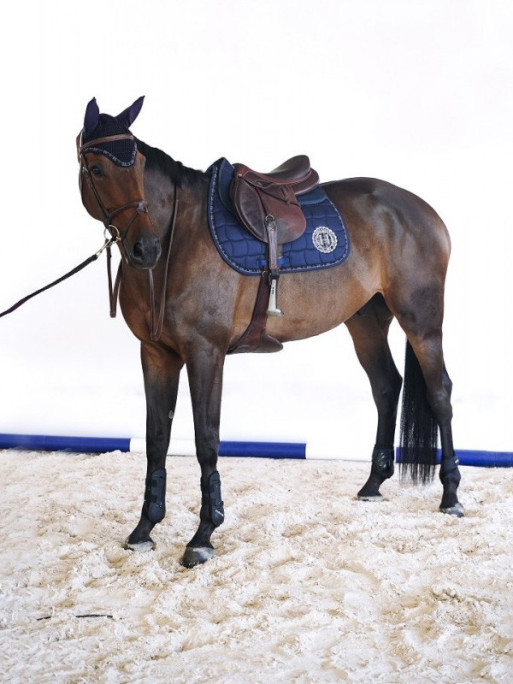 Tapis Salvador CSO hiver 2023 Harcour