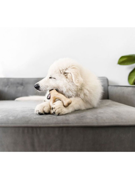 Jouet à mâcher Wishbone Benebone