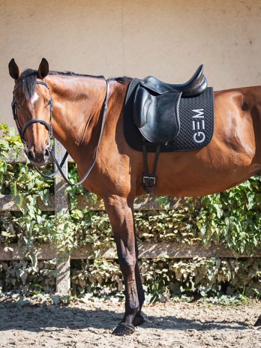 Tapis Ten obstacle GEM