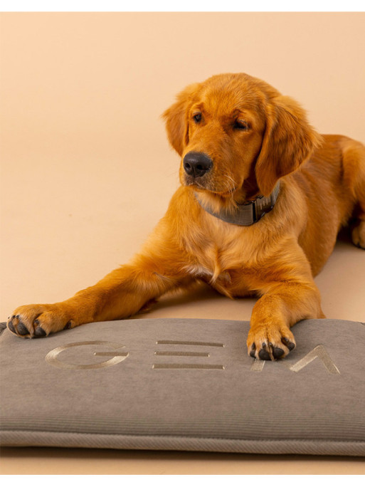 Tapis nomade pour chien 60x80 GEM