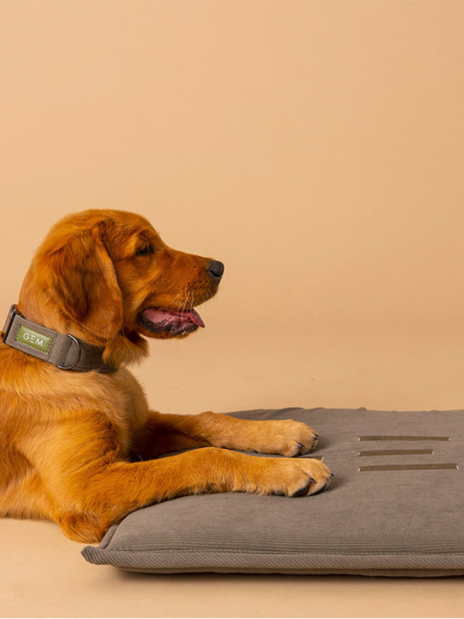Tapis nomade pour chien 60x80 GEM