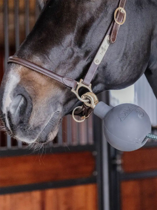 Balle de protection d'attache Kentucky Balle de protection d'attache Kentucky