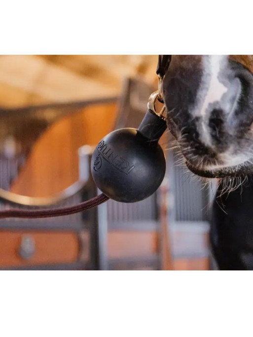 Balle de protection d'attache Kentucky