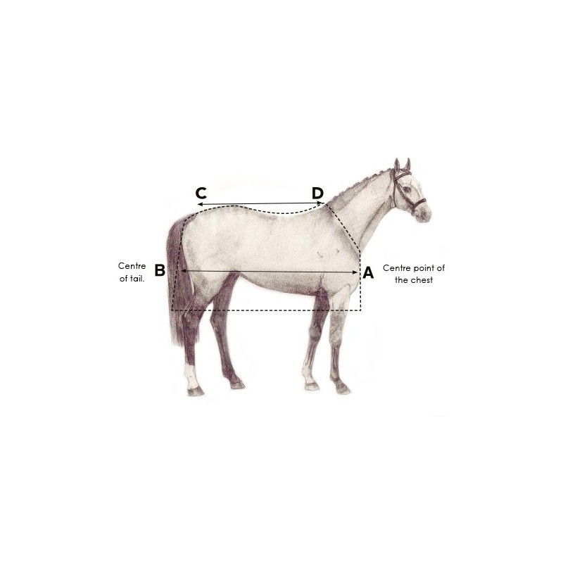 Couverture Amigo Hero 900 Plus Disc Front 100g Horseware