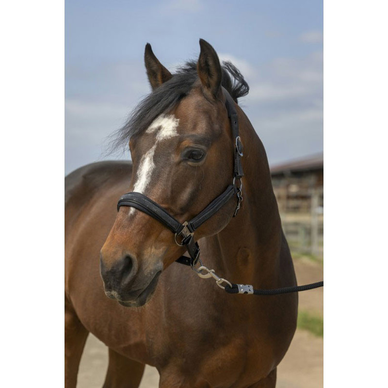 Licol nylon strass Equithème