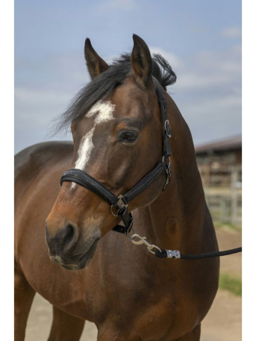 Licol nylon strass Equithème